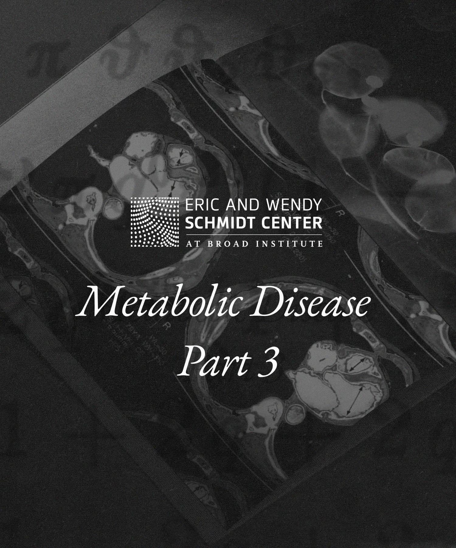 Obesity ML Competition: Tackling Metabolic Diseases - Part 3